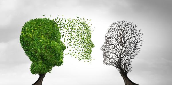 A tree in the shape of a face with leaves blowing towards a leafless tree in the shape of a face