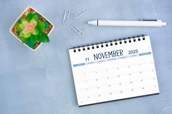 November 2025 desk calendar with plant, pen and paperclips