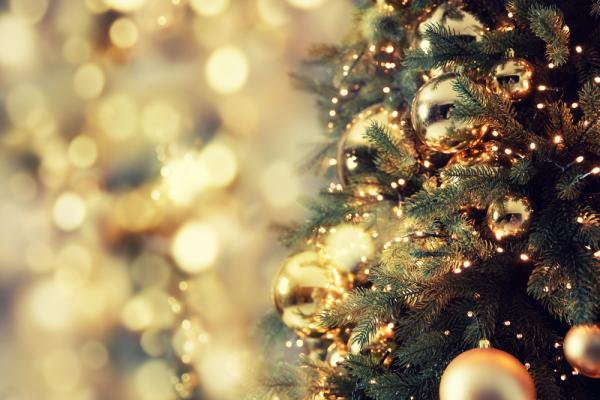 A real Christmas tree, densely decorated with gold baubles is sparkling in the foreground.