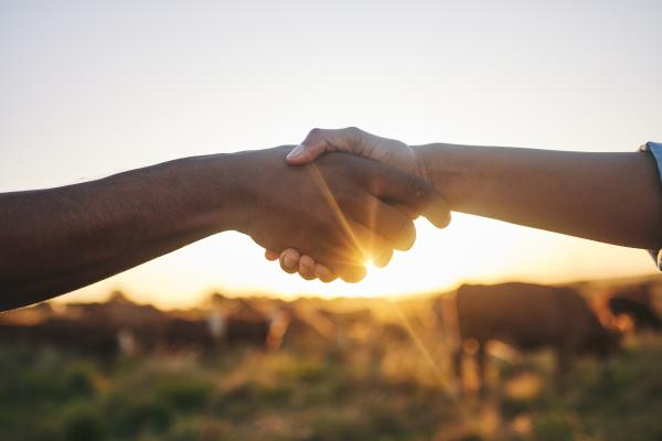 farmers agreeing a partnership